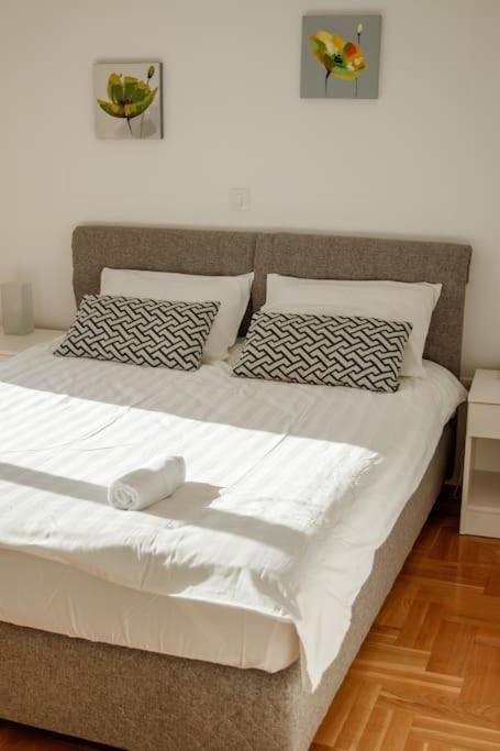 Acacia Hill Apartments Herceg Novi Exterior photo
