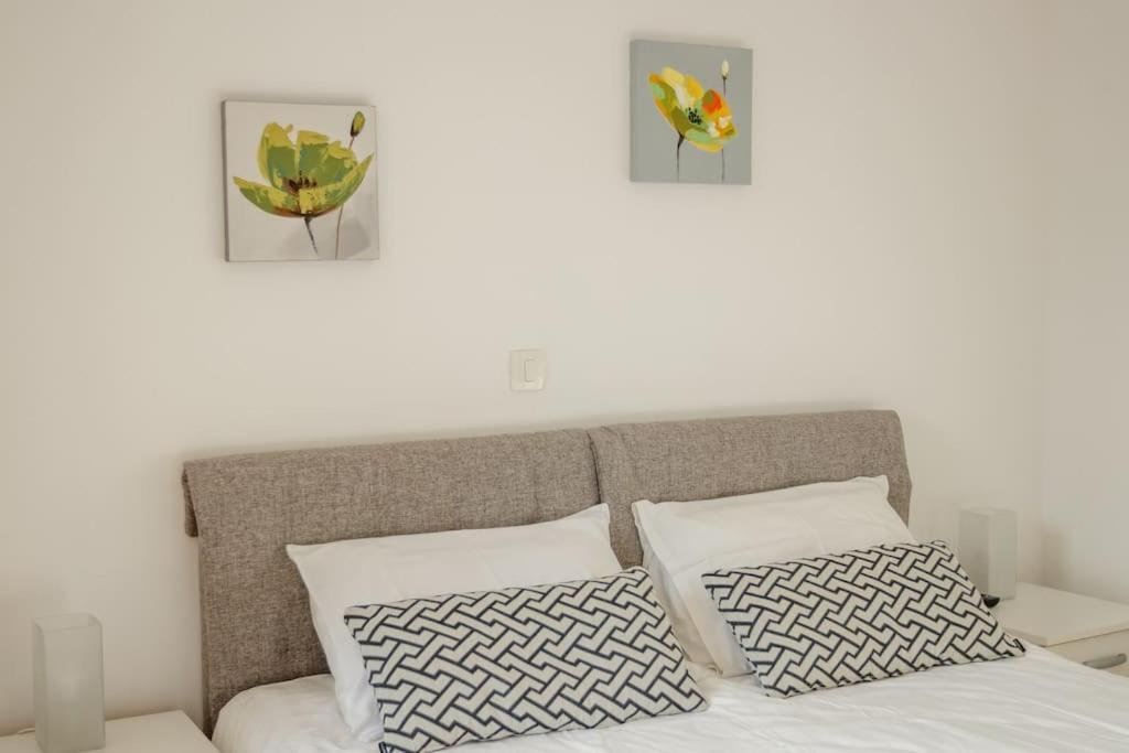 Acacia Hill Apartments Herceg Novi Exterior photo