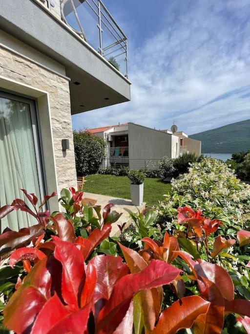Acacia Hill Apartments Herceg Novi Exterior photo
